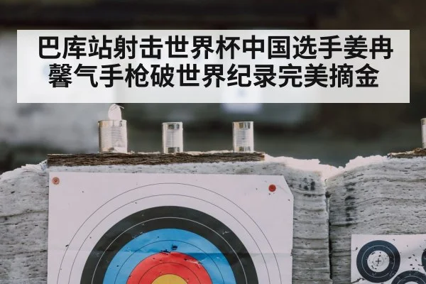 shooting target closeup