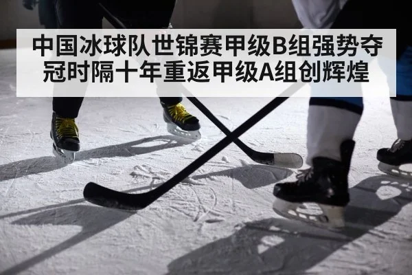 ice hockey players action