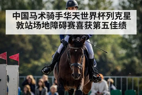 equestrian competition