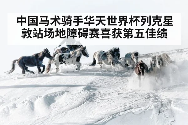 Chinese rider horse