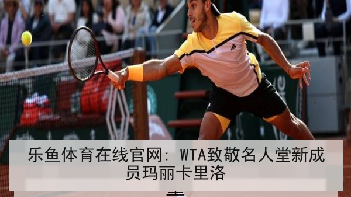 乐鱼体育在线官网: WTA致敬名人堂新成员玛丽卡里洛 乐鱼体育在线官网: WTA致敬名人堂新成员玛丽卡里洛